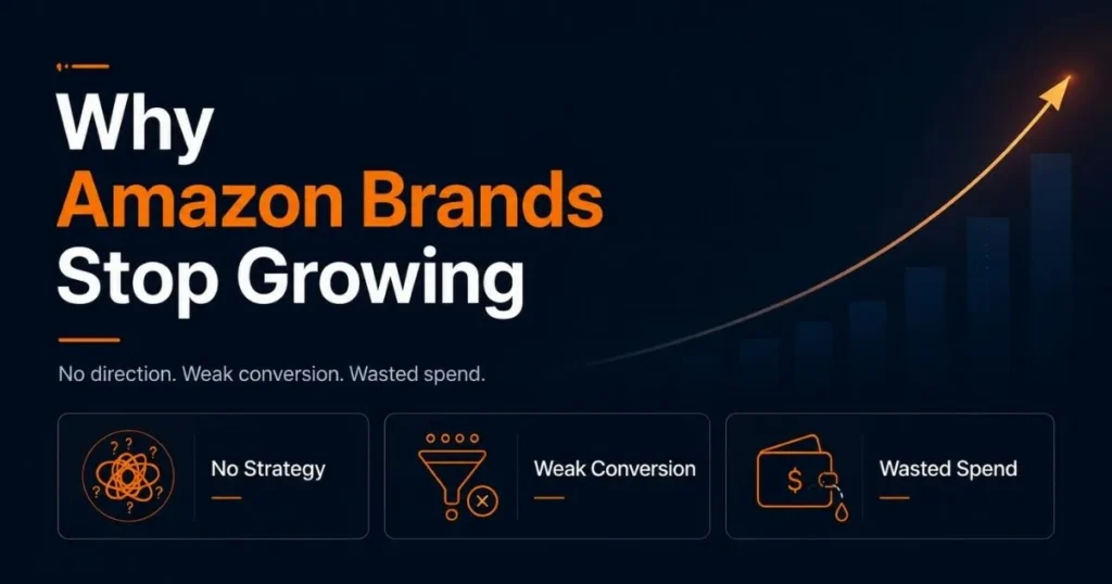 Why Most Amazon Brands Never See Consistent Growth